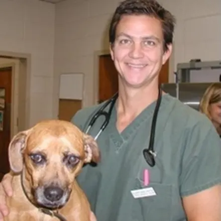 Dr. Steve Hendrix smiling at the camera while holding a dog